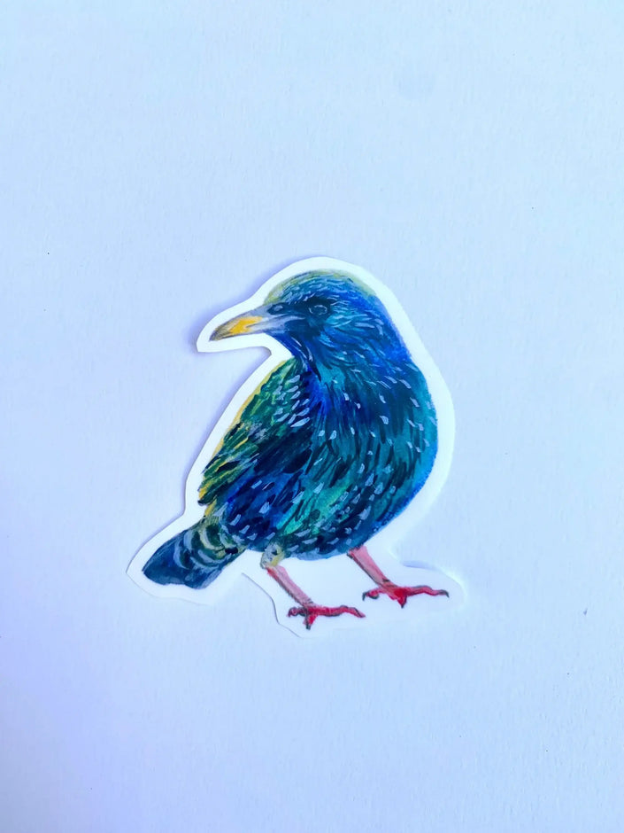 Starling Sticker - nature inspired vinyl sticker with European Starling