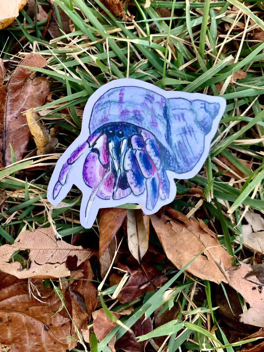 Hermit crab weatherproof vinyl sticker