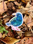 Starling Sticker - nature inspired vinyl sticker with European Starling