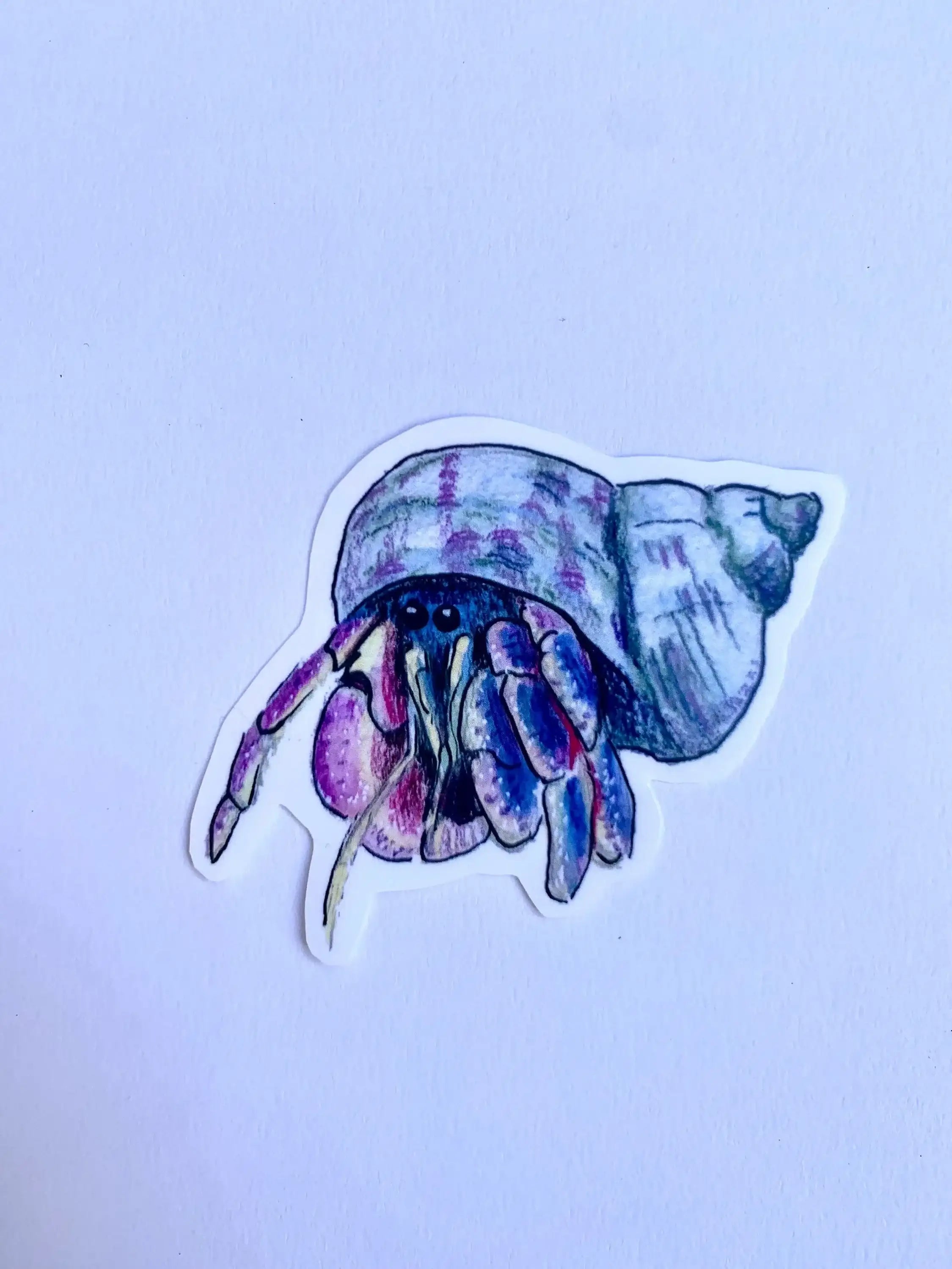 Hermit crab weatherproof vinyl sticker