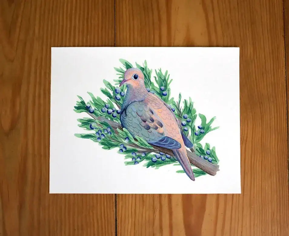 Mourning Dove in Juniper Tree Print - unframed art print