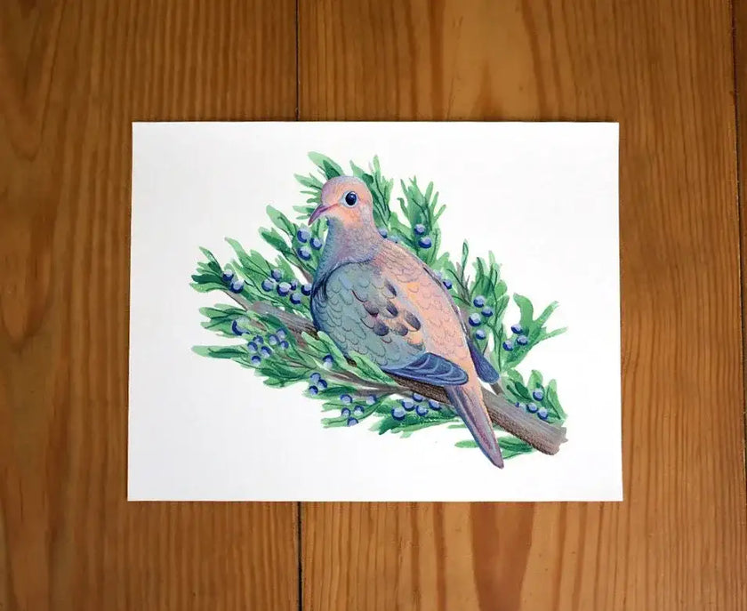 Mourning Dove in Juniper Tree Print - unframed art print