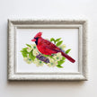 Red Cardinal in Dogwood Tree - original illustration art print