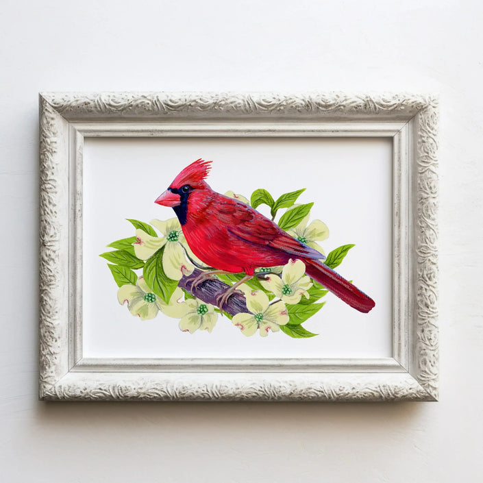 Red Cardinal in Dogwood Tree - original illustration art print
