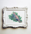 Mourning Dove in Juniper Tree Print - unframed art print