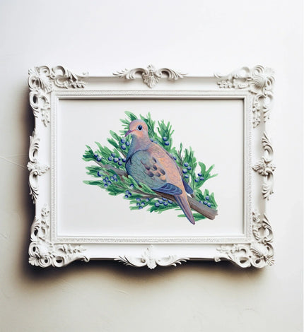 Mourning Dove in Juniper Tree Print - unframed art print