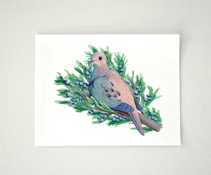 Mourning Dove in Juniper Tree Print - unframed art print