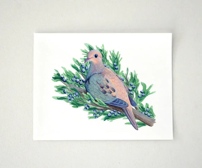Mourning Dove in Juniper Tree Print - unframed art print