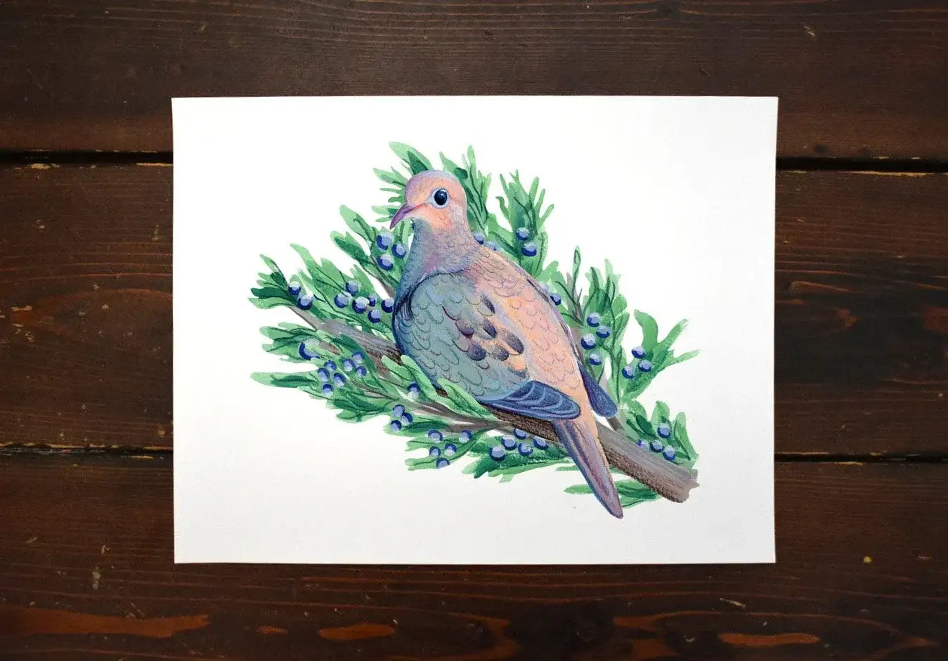 Mourning Dove in Juniper Tree Print - unframed art print