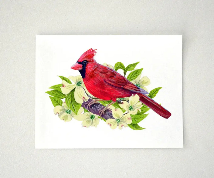 Red Cardinal in Dogwood Tree - original illustration art print