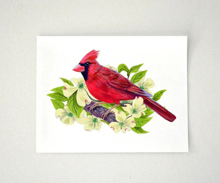 Red Cardinal in Dogwood Tree - original illustration art print