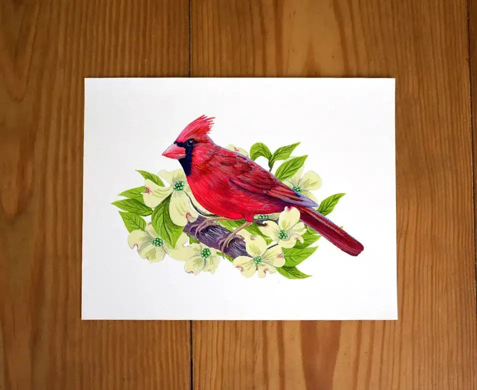 Red Cardinal in Dogwood Tree - original illustration art print