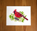Red Cardinal in Dogwood Tree - original illustration art print