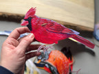 RESERVED - custom retirement bird banner