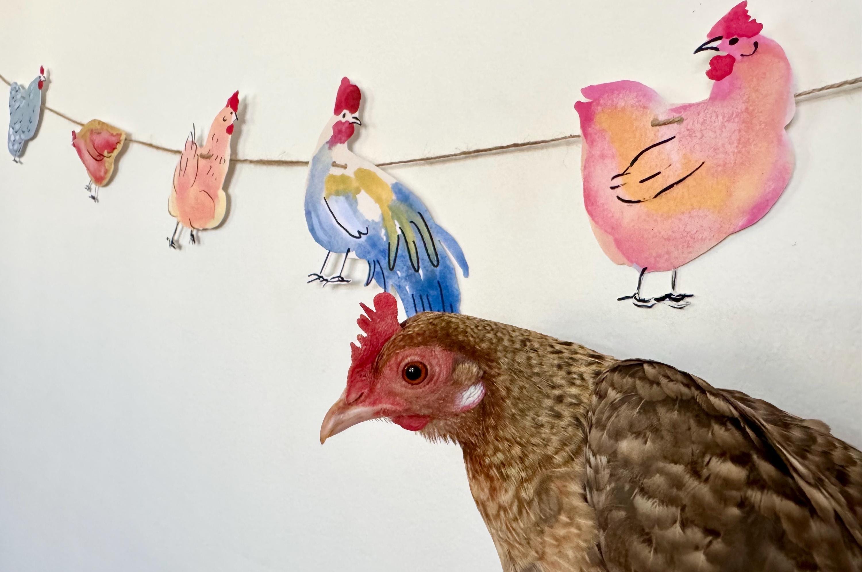Chicken garland - illustrated paper garland - pet hens and a rooster art banner - chicken gifts - chicken party decor