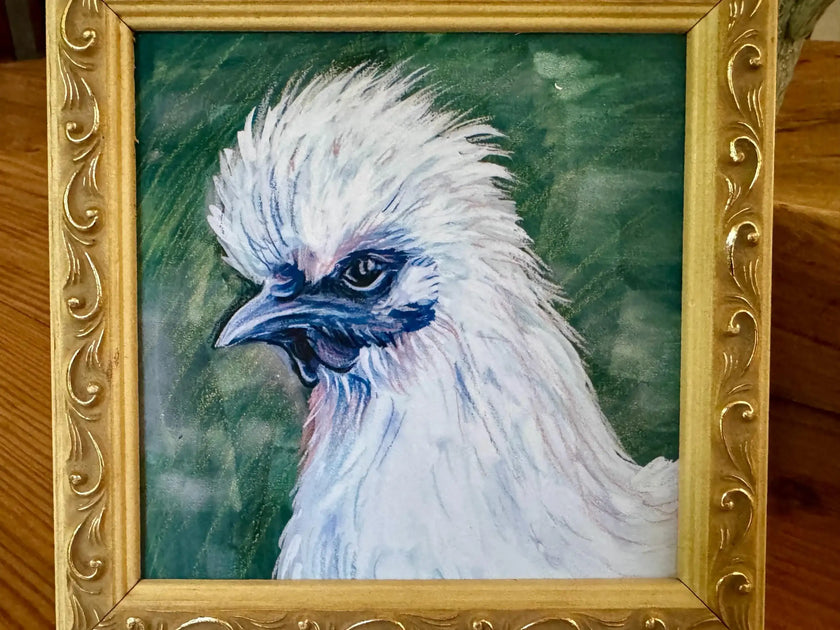 Silkie Chicken Art Print: Fluffy White Chicken Illustration