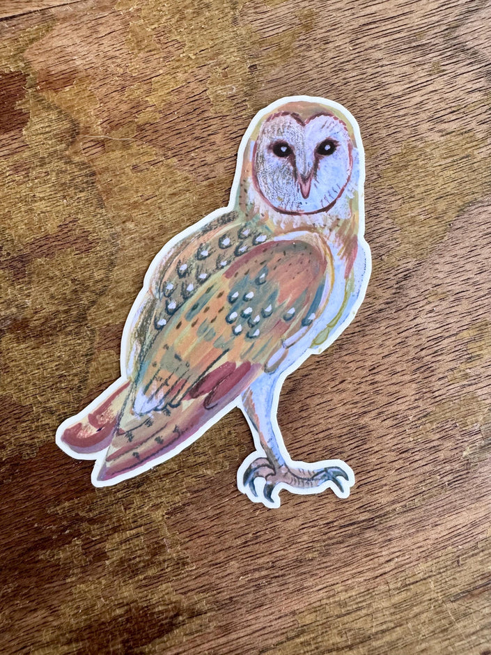 Barn Owl Sticker, Hand Illustrated Owl Vinyl Sticker, Woodland Bird Decal for Laptop, Water Bottle & Journal, Owl Lover Nature Gift