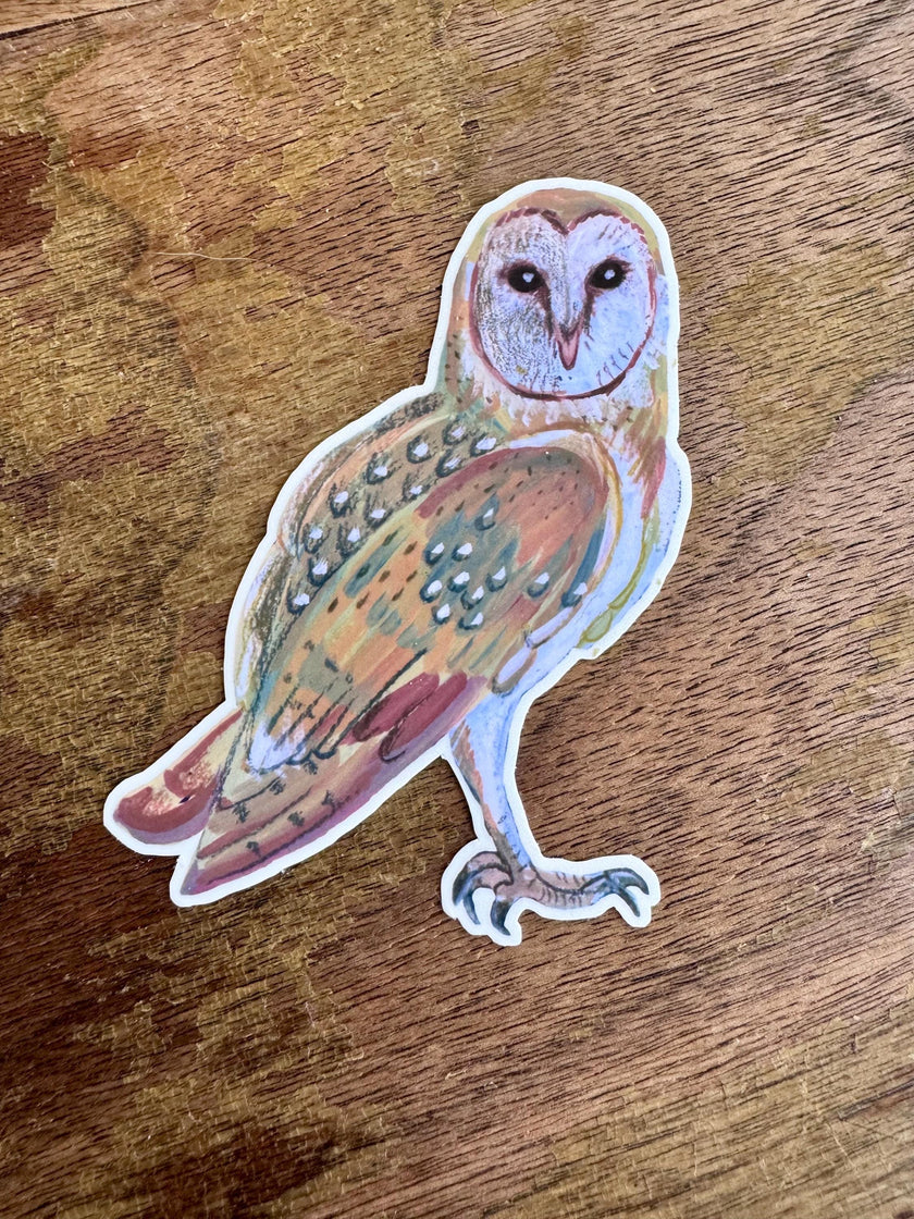 Barn Owl Sticker, Hand Illustrated Owl Vinyl Sticker, Woodland Bird Decal for Laptop, Water Bottle & Journal, Owl Lover Nature Gift