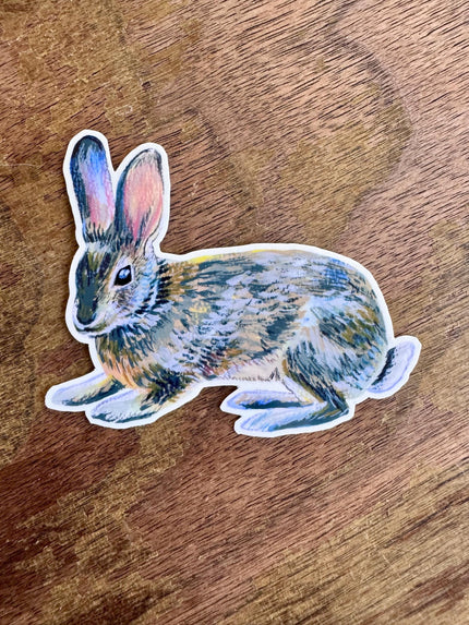 Peaceful Bunny Sticker, Wild Rabbit Illustration Vinyl Sticker, Woodland Animal Decal Laptop, Water Bottle, Journal, Cottagecore Nature Gift