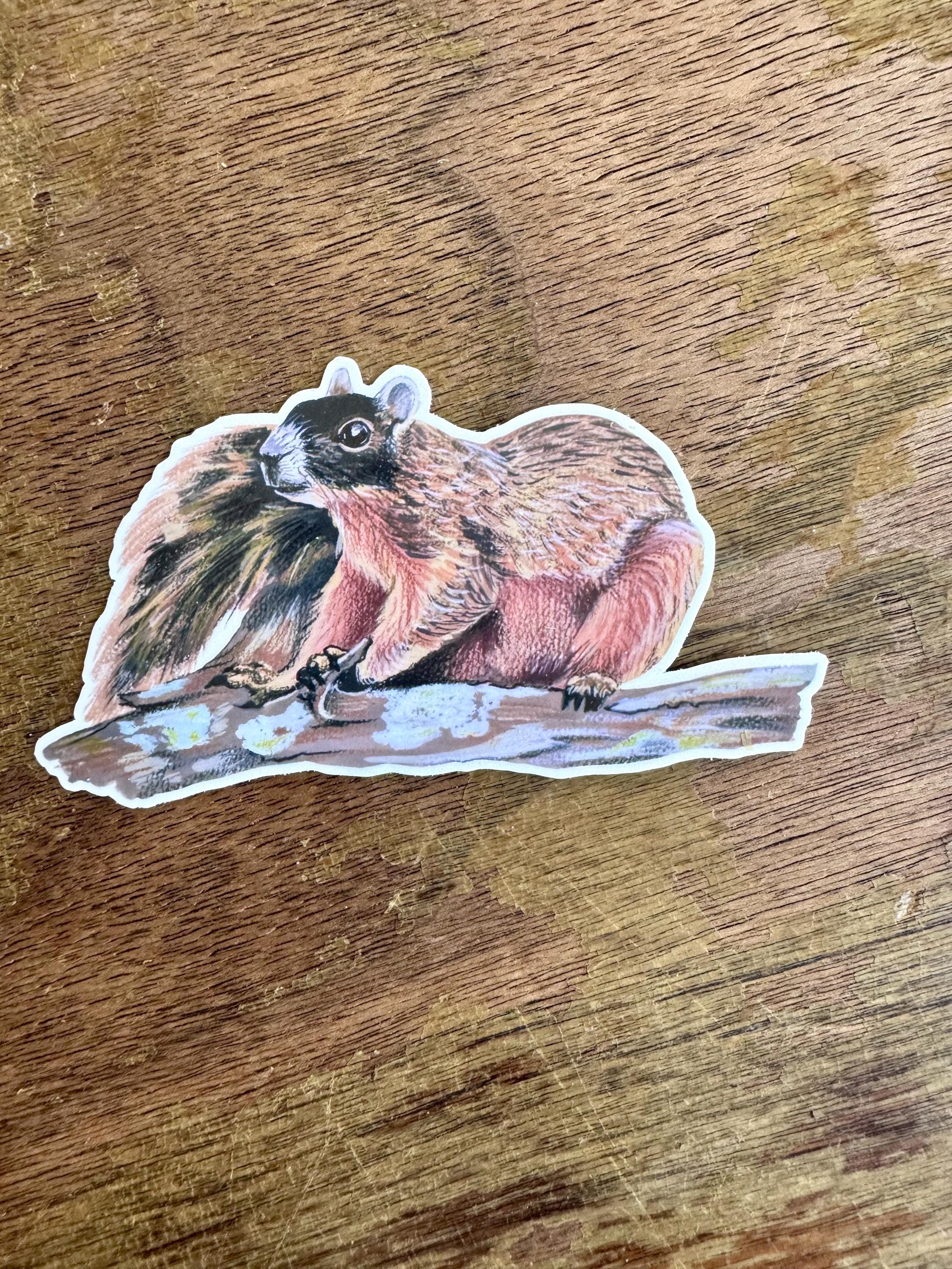 Squirrel Sticker, Black‑Faced Fox Squirrel Vinyl Sticker, Raccoon‑Faced Woodland Animal Decal for Laptop, Water Bottle & Journal