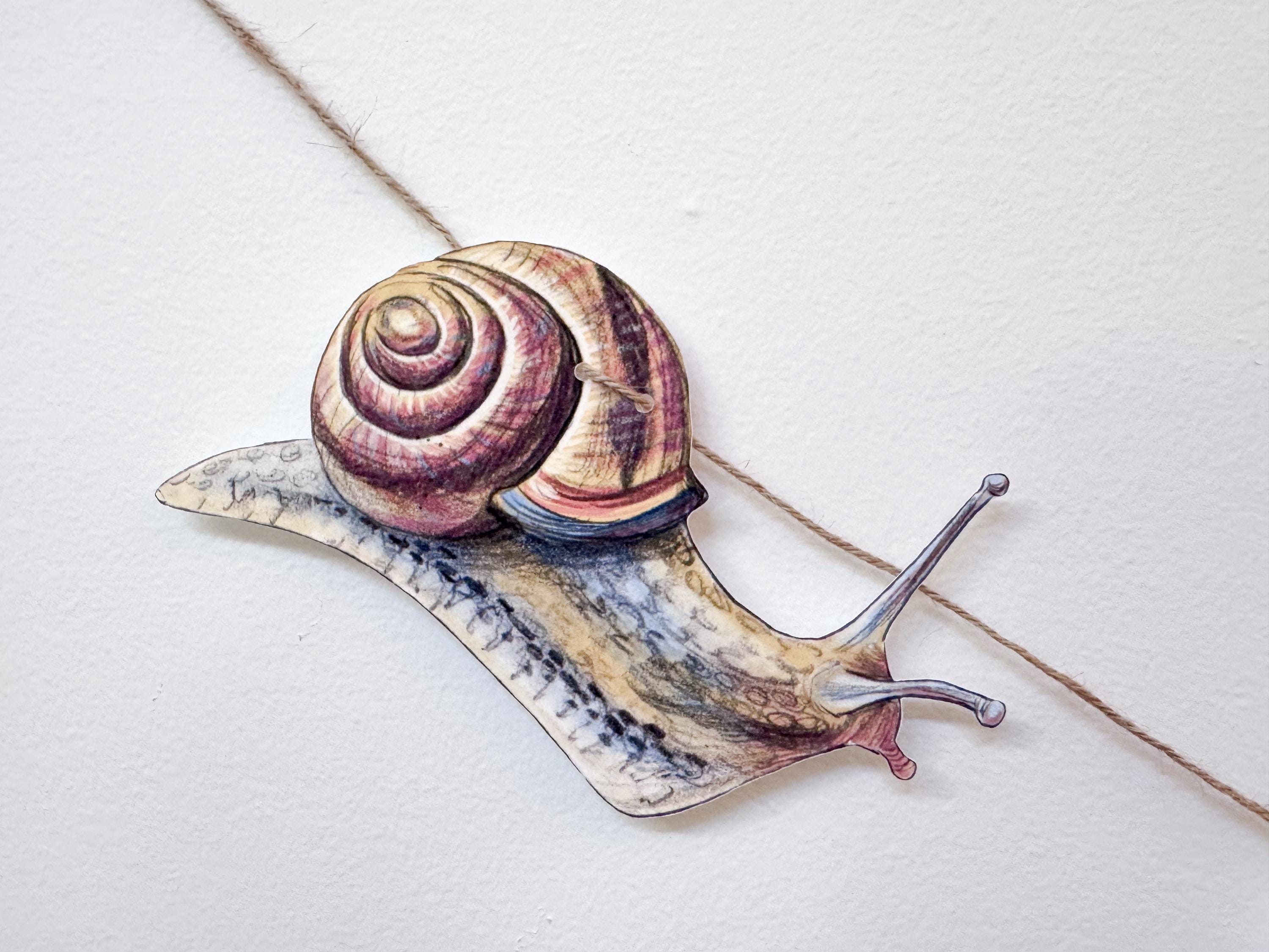 Illustrated Snail Garland, Paper Garden Snail Bunting, Cottagecore Wall Decor, Nature Lover Gift, forest floor bunting