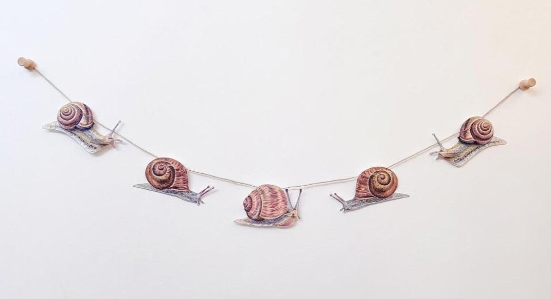 Illustrated Snail Garland, Paper Garden Snail Bunting, Cottagecore Wall Decor, Nature Lover Gift, forest floor bunting