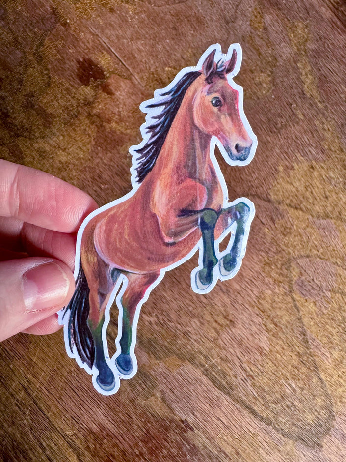 Bay Horse Sticker, Running Horse Decal for Water Bottle Laptop Journal, Equestrian Vinyl Sticker Gift for Cowgirl Western Lover