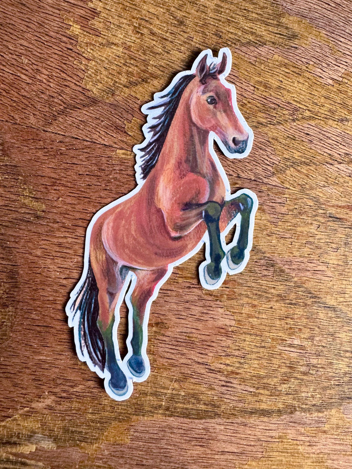 Bay Horse Sticker, Running Horse Decal for Water Bottle Laptop Journal, Equestrian Vinyl Sticker Gift for Cowgirl Western Lover