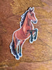 Bay Horse Sticker, Running Horse Decal for Water Bottle Laptop Journal, Equestrian Vinyl Sticker Gift for Cowgirl Western Lover