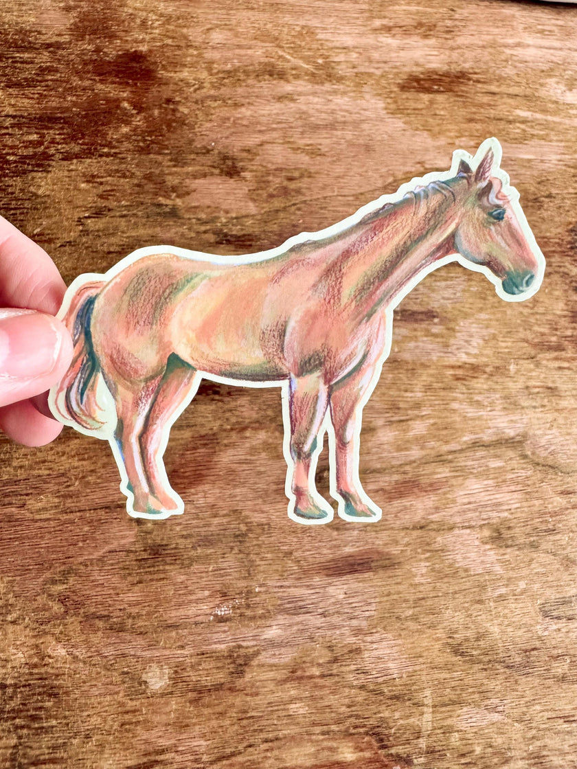 Dun Horse Sticker, Running Horse Decal for Water Bottle Laptop Journal, Equestrian Vinyl Sticker Gift for Cowgirl Western Lover