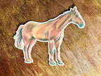 Dun Horse Sticker, Running Horse Decal for Water Bottle Laptop Journal, Equestrian Vinyl Sticker Gift for Cowgirl Western Lover