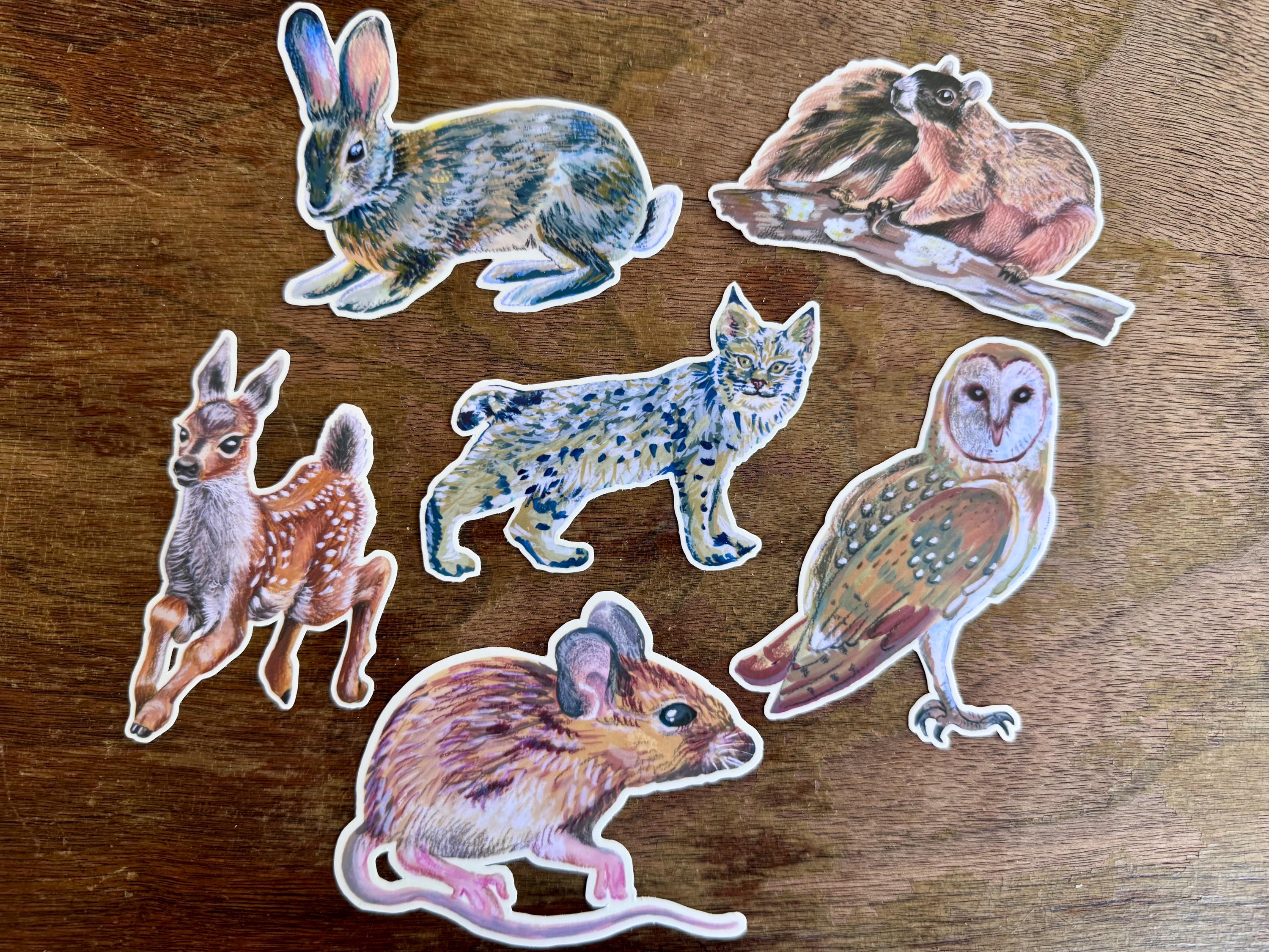 Bobcat Sticker, Hand Illustrated Wild Cat Vinyl Sticker, Woodland Animal Decal for Laptop, Water Bottle, Journal, Wildlife Nature Lover Gift