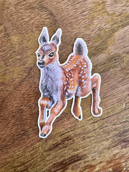 Spotted Fawn Sticker, Baby Deer Illustration Vinyl Sticker, Woodland Animal Decal for Laptop, Water Bottle & Journal, Nature Lover Gift