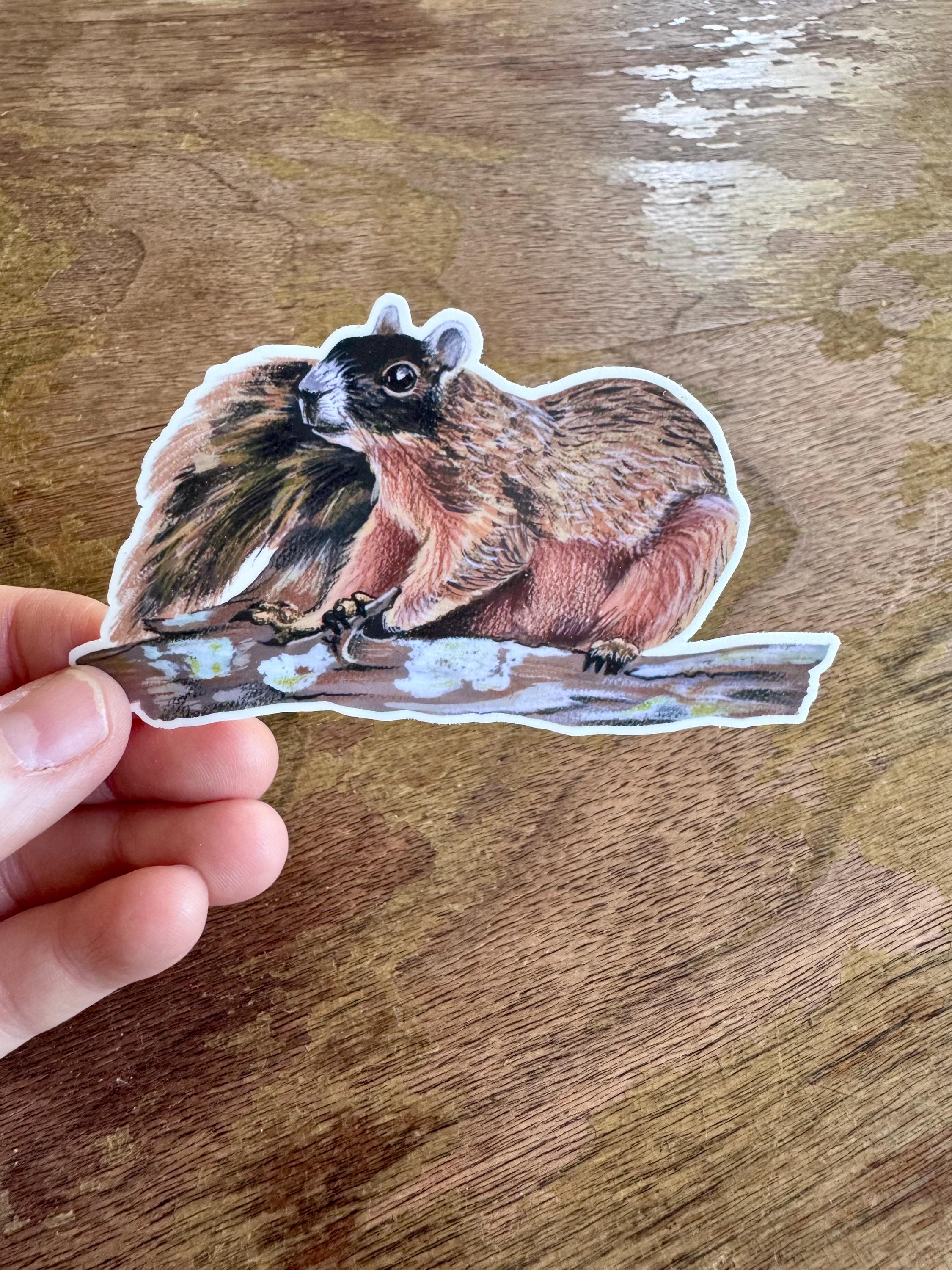 Squirrel Sticker, Black‑Faced Fox Squirrel Vinyl Sticker, Raccoon‑Faced Woodland Animal Decal for Laptop, Water Bottle & Journal