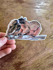 Squirrel Sticker, Black‑Faced Fox Squirrel Vinyl Sticker, Raccoon‑Faced Woodland Animal Decal for Laptop, Water Bottle & Journal