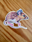 Field Mouse Sticker-Brown Mouse Illustration Vinyl Sticker, Woodland Animal Laptop, Water Bottle Decal, Cute Mouse Sticker for Nature Lovers