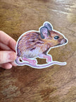 Field Mouse Sticker-Brown Mouse Illustration Vinyl Sticker, Woodland Animal Laptop, Water Bottle Decal, Cute Mouse Sticker for Nature Lovers